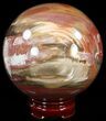 Colorful Petrified Wood Sphere #49751-1